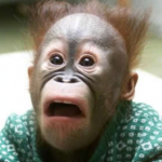 not-a-monkey-but-whatever