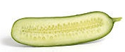 cucumber